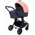 Коляска 2 в 1 Rant Basic Energy Coral