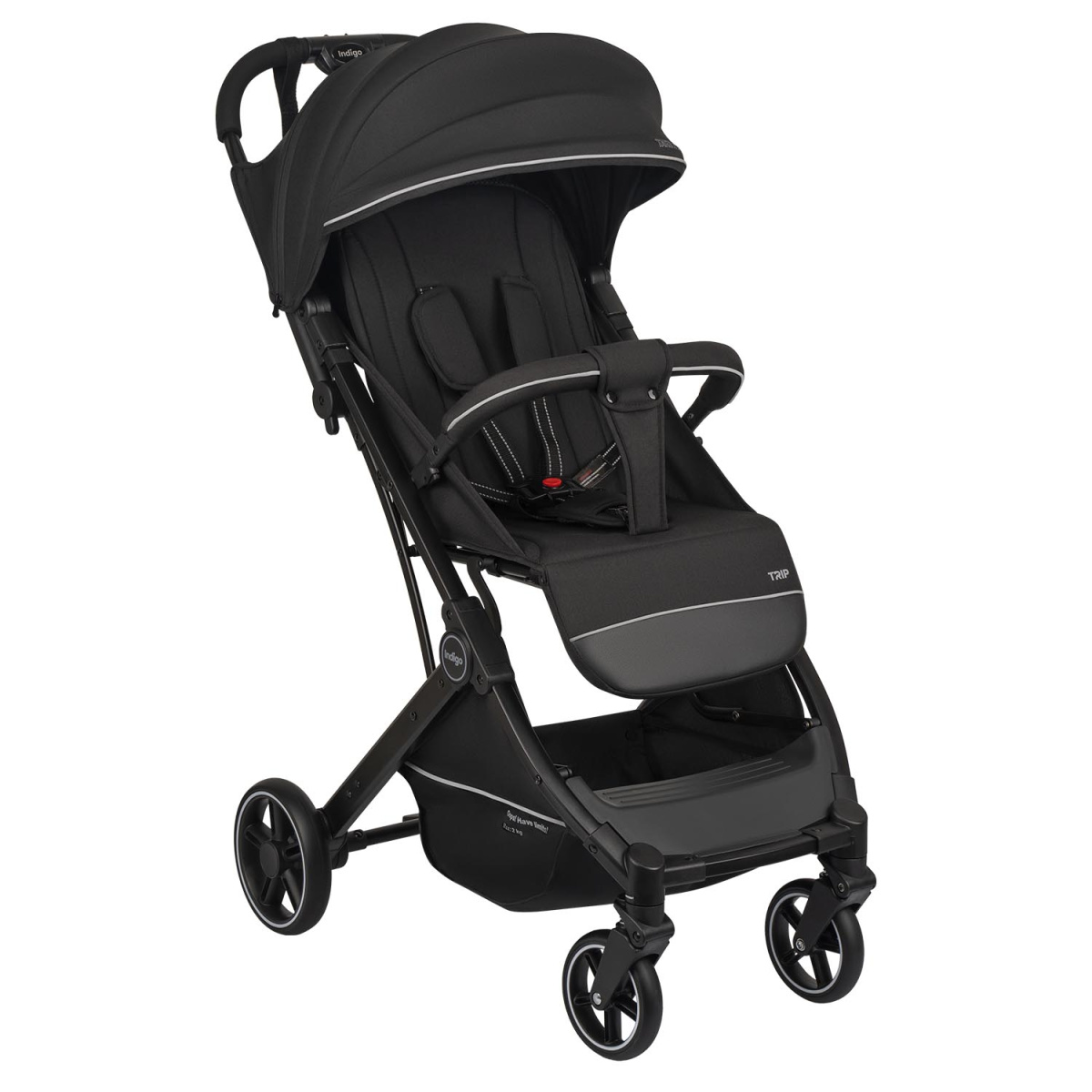 Коляска прогулочная Indigo TRIP черный