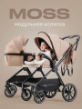 Коляска 2 в 1 Rant Moss Midnight black