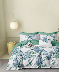 Twill евро 4 наволочки TPIG6-1929 КОД1038