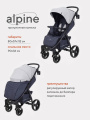 Коляска прогулочная Rant Basic Alpine Eva Grey