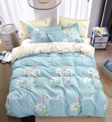 Twill евро 2 наволочки в ПВХ TPIG3-1296 КОД1171