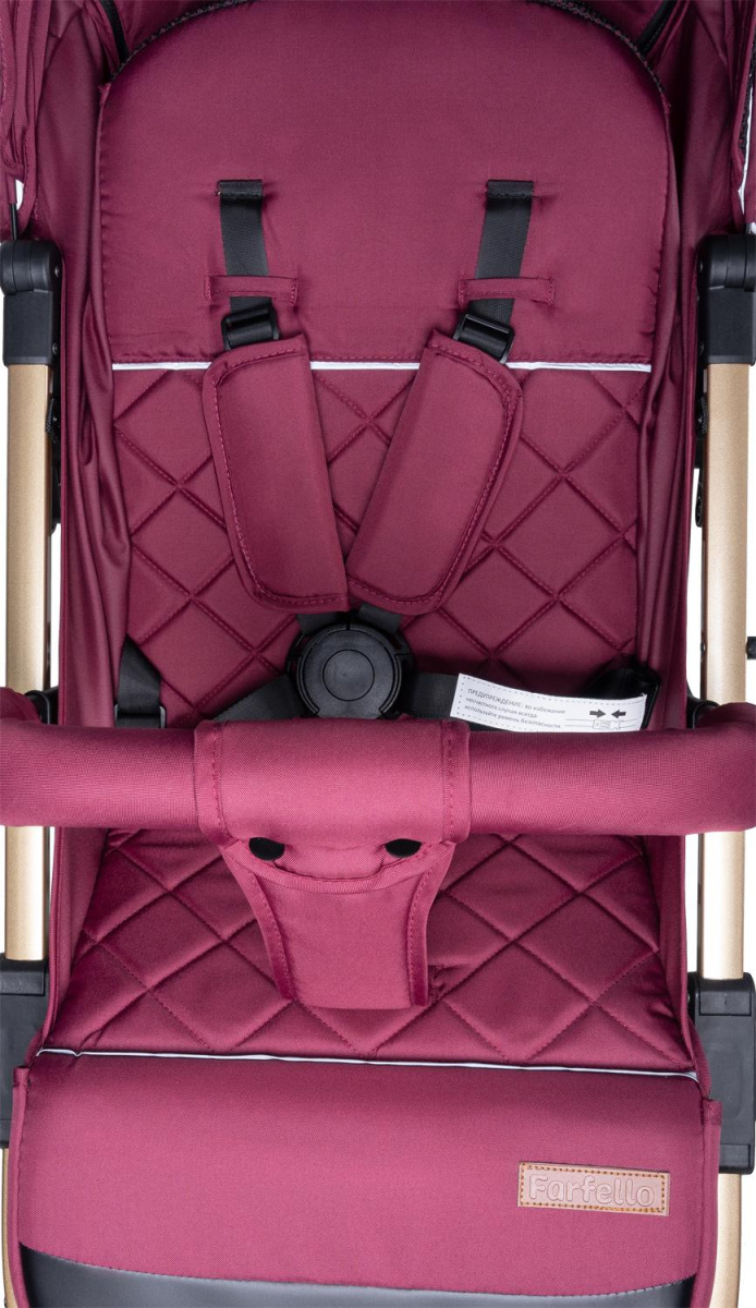 Коляска детская прогулочная Farfello Comfy Go (Cherry/ Вишня (золото) CG-66)