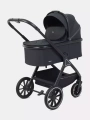 Коляска 2 в 1 Rant Basic Terra Black