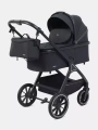 Коляска 2 в 1 Rant Basic Terra Black